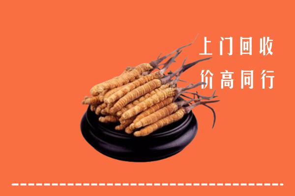纳溪区回收冬虫夏草