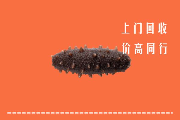 纳溪区回收海参