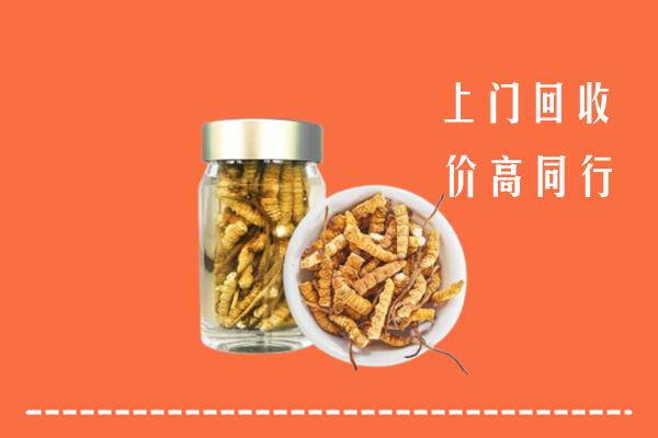 纳溪区回收冬虫夏草
