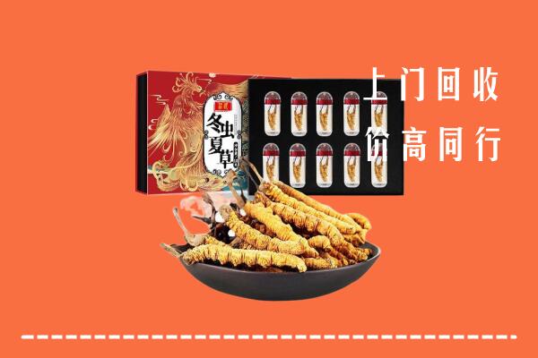 纳溪区回收虫草